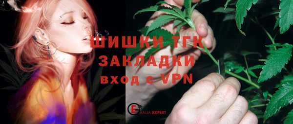 дмт Богданович