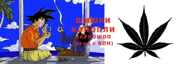 скорость Бикин