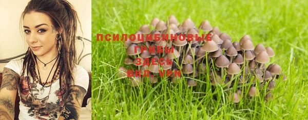 дмт Богданович