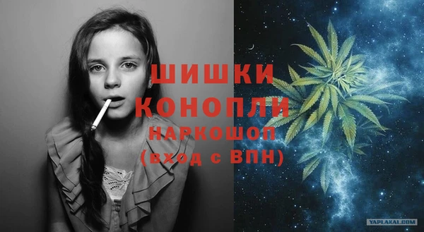 дмт Богданович
