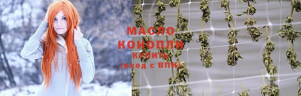 дмт Богданович