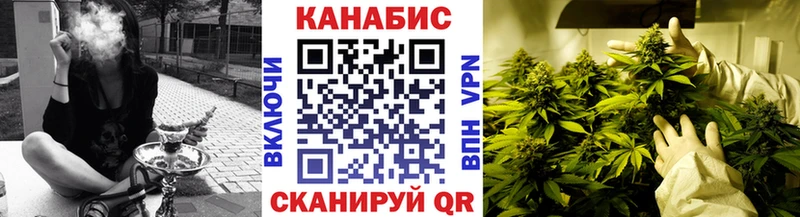 mega онион Кировград Бошки Шишки гибрид где купить наркоту